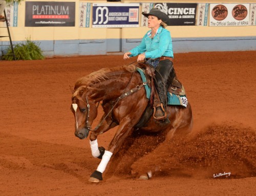 12.04.2015 || Cromed Out Affair in Level 4 Finals at NRHA Futurity