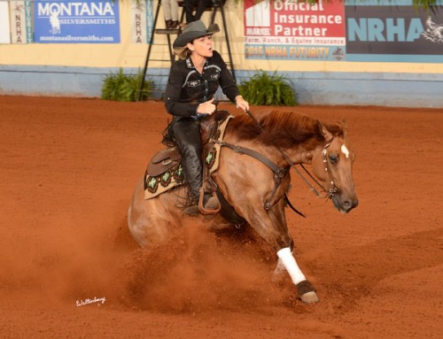 12.04.2015 || Twisted Affair Non Pro Finals at NRHA Futurity